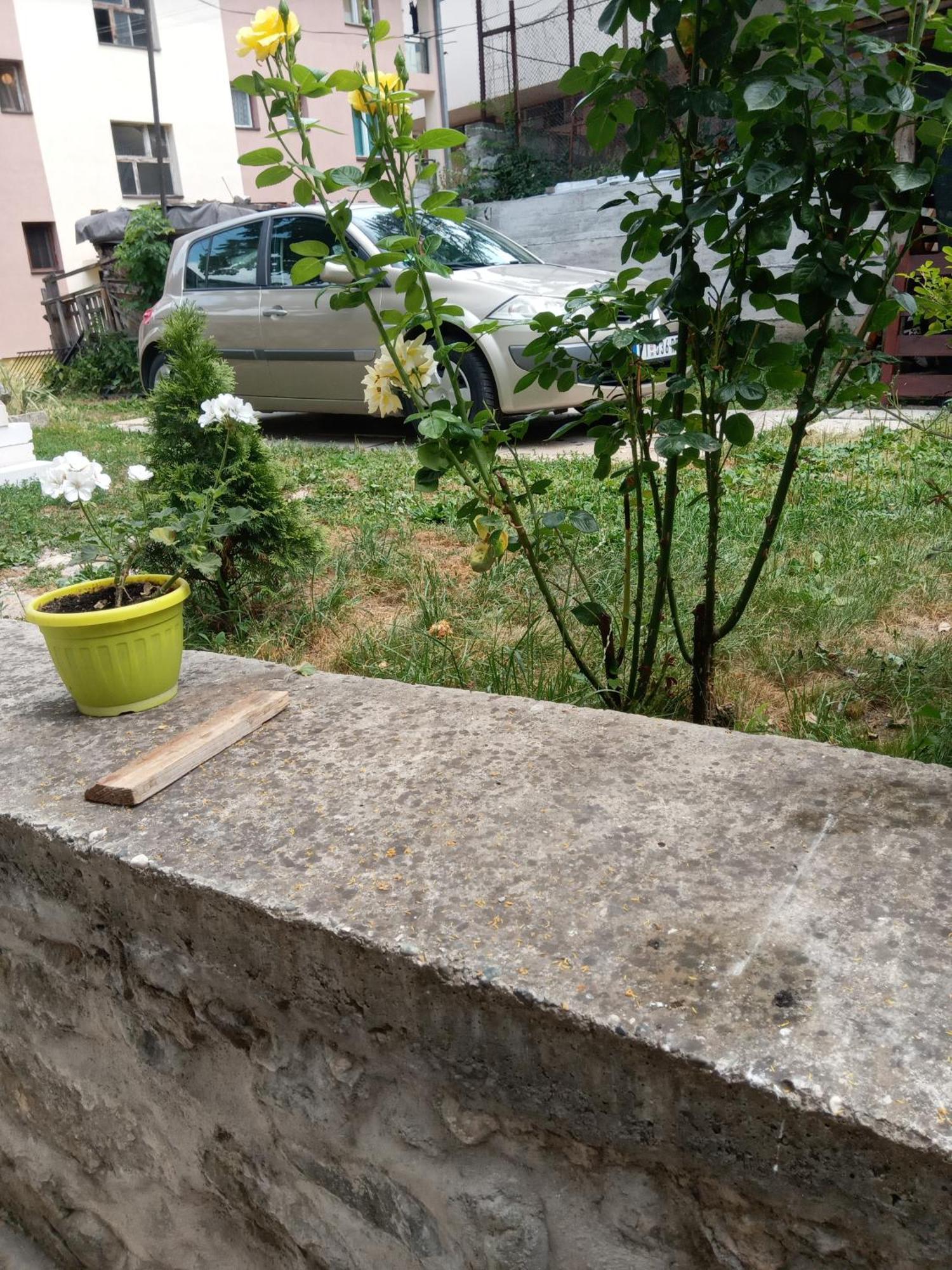 Rzav Acomodação com café da manhã Višegrad Quarto foto